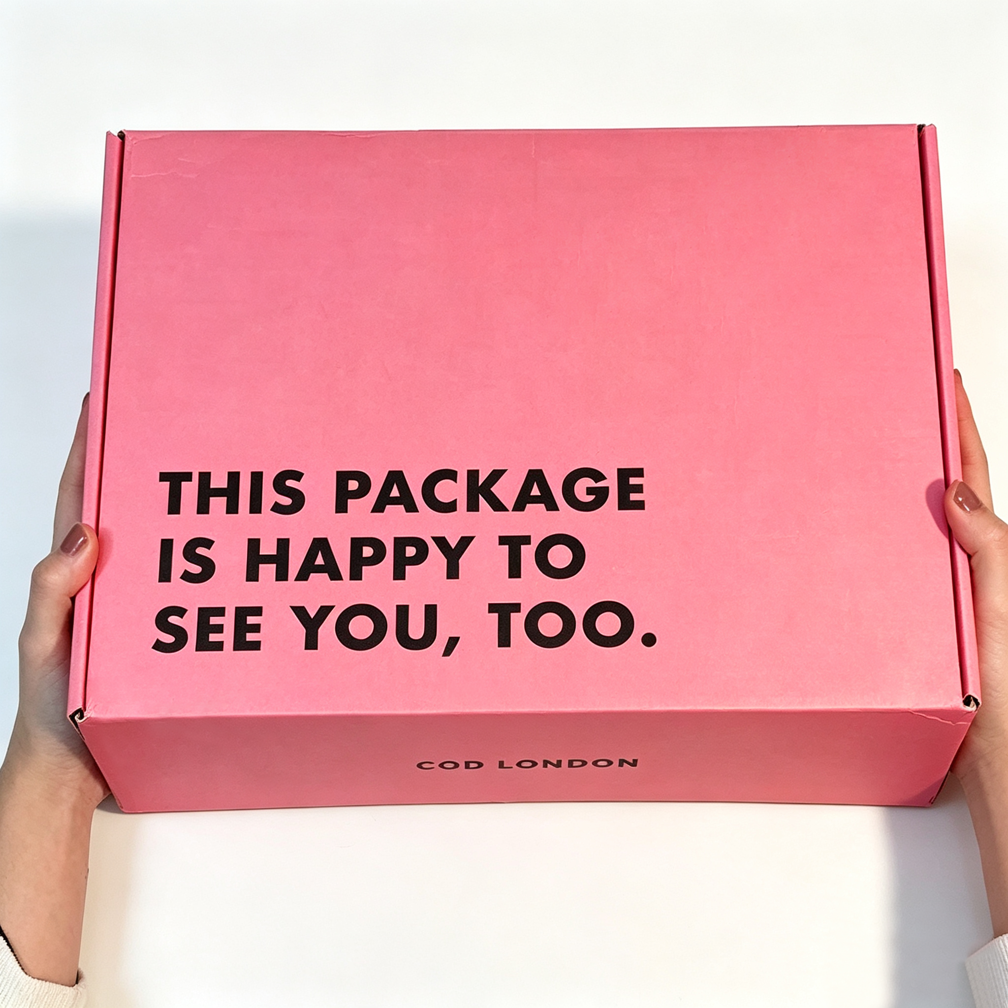 Custom logo pet food shipping box for pet food packaging